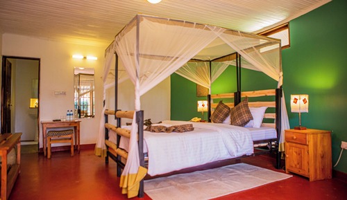 Deluxe Single Room, Garden View 2 Twin Beds