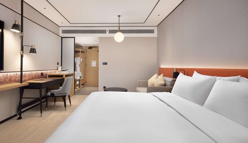 Room, 1 King Bed