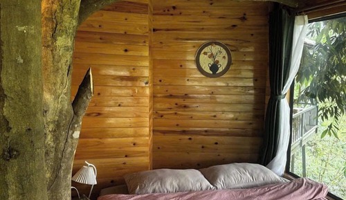 Premium Tree House