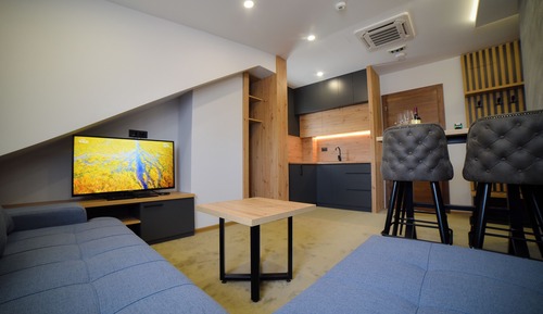 Deluxe Apartment, City View