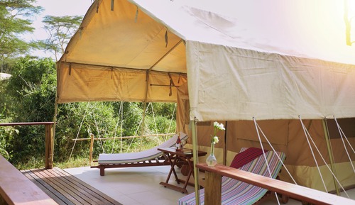 Standard Tent