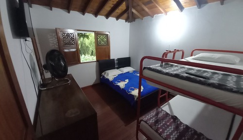 Basic Quadruple Room, Garden View