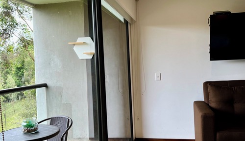Business Room