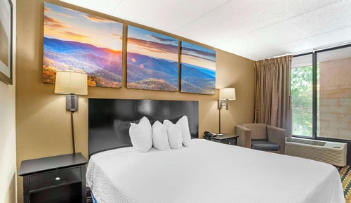 Room, 1 King Bed, Accessible, Non Smoking