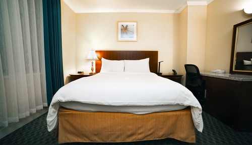 1 Queen Bed