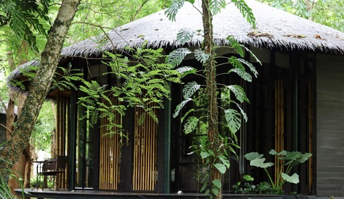 Jungle Villa