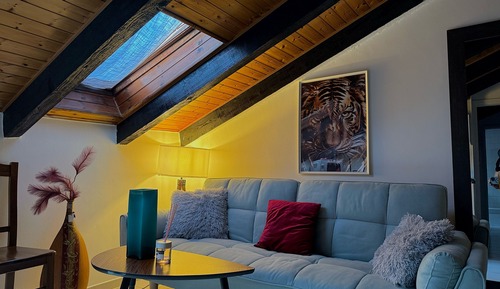 Basic Apartment