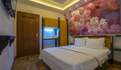 Basic Double Room