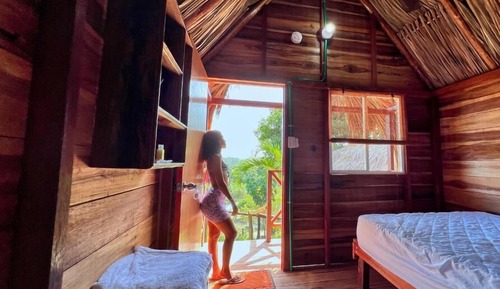 Basic Cabin