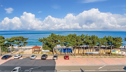 Basic Room, 1 Bedroom (Chamomile 403 (Ocean View))