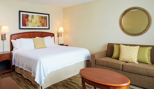 Room, 1 King Bed with Sofa bed