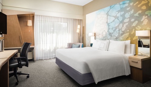 Room, 1 King Bed (Mobility Accessible, Roll-In Shower)