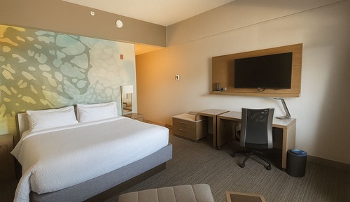 Room, 1 King Bed with Sofa bed, Non Smoking (Hearing Accessible)