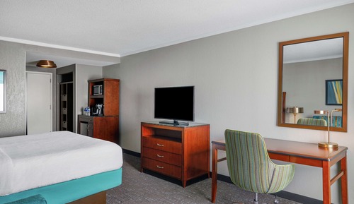 Room, 1 King Bed with Sofa bed