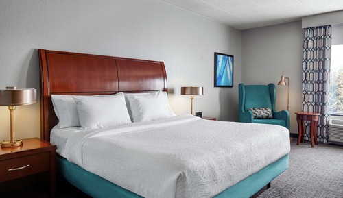One king bed evolution room