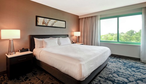 Suite, 1 King Bed, Accessible (Hearing)