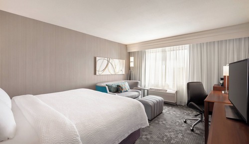 Room, 1 King Bed with Sofa bed (Mobility Accessible, Roll-In Shower)