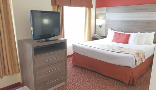 1 King 1 Sofa Beds Suite