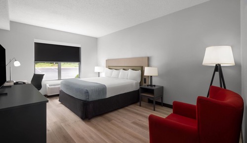 Room, 1 King Bed, Non Smoking