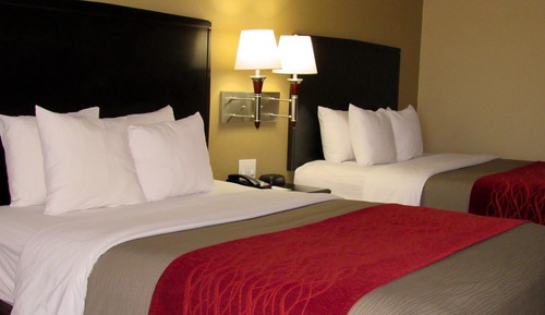 Standard Room, Multiple Beds, Non Smoking (Lower Floor)