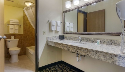 Suite, 1 King Bed with Sofa bed, Non Smoking, Jetted Tub
