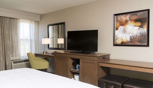 Room, 1 King Bed with Sofa bed, Refrigerator