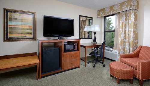 Room, 1 King Bed, Non Smoking