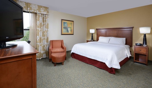 Room, 1 King Bed, Accessible, Bathtub (Non-smoking)