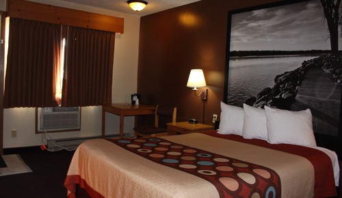 Room, 1 Queen Bed, Mobility Accessible, Non Smoking (Bathtub w/ Grab Bars, Pet Friendly)