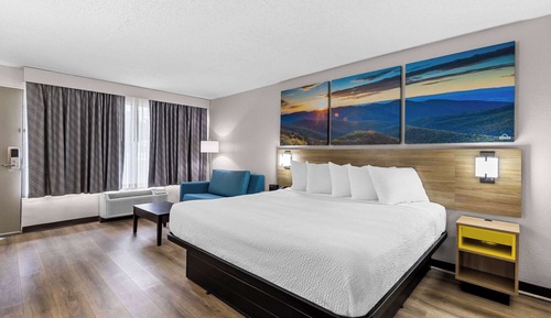 Room, 1 King Bed, Smoking, Refrigerator & Microwave