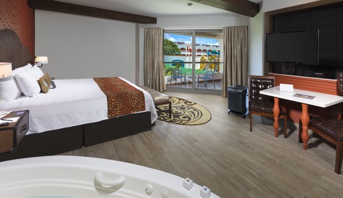 Deluxe Room (Sky Terrace)