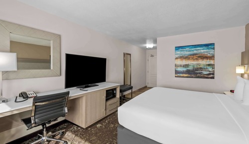 Standard Room, 1 King Bed, Non Smoking, Refrigerator & Microwave