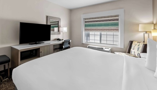 Standard Room, 1 King Bed, Accessible, Refrigerator