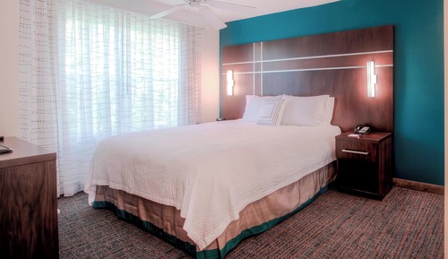 Executive Suite, 1 King Bed with Sofa bed, Non Smoking