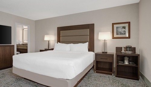 1 King Bed Oversized Room W/pullout Sofa