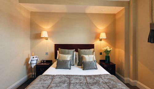 Superior Single Room