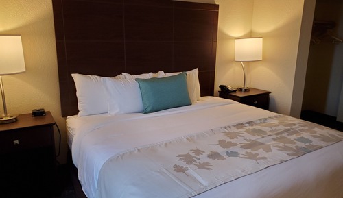 Suite, King Bed with Sofa Bed, Accessible, Non Smoking