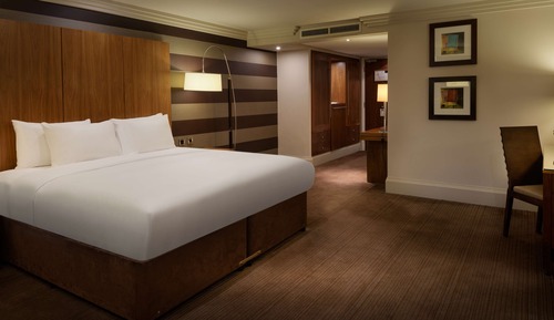 Deluxe Room, 1 Queen Bed