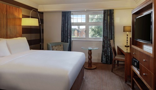 Room, 1 Queen Bed