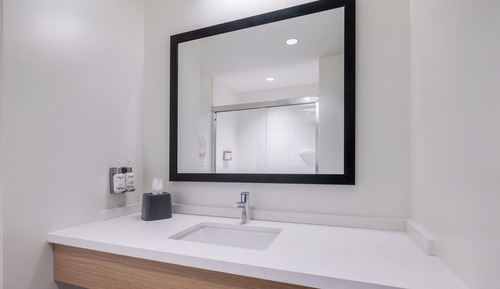 Room, 1 King Bed, Roll-in Shower (Communications, Mobility Access)