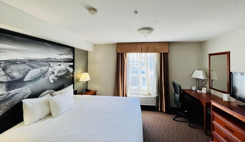 Studio, 1 King Bed, Non Smoking, Kitchen