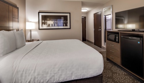 Standard Room, 1 Queen Bed, Non Smoking, Refrigerator & Microwave