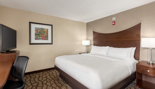 Room, 1 King Bed, Accessible (Roll-in Shower)