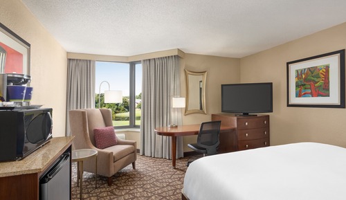 Room, 1 King Bed, Accessible, Refrigerator