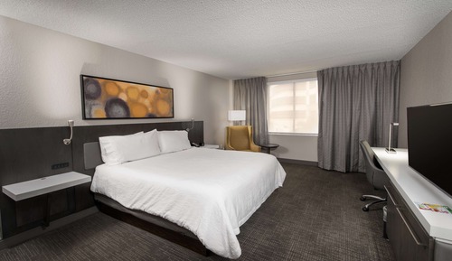 Room, 1 King Bed, Accessible (Roll-In Shower)