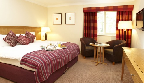 Executive Double or Twin Room, 1 King Bed