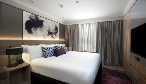 Suite, 1 King Bed