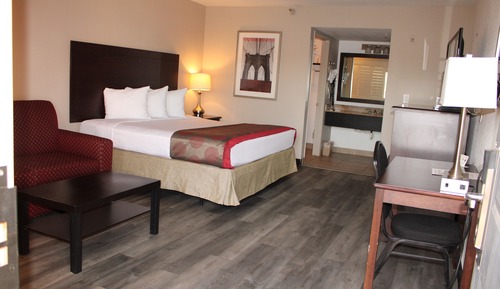 Comfort Single Room