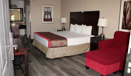 Comfort Single Room