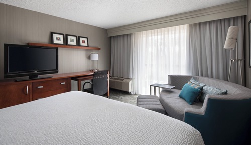 Room, 1 King Bed with Sofa bed, Non Smoking (Mobility/Hearing Accessible, Tub)
